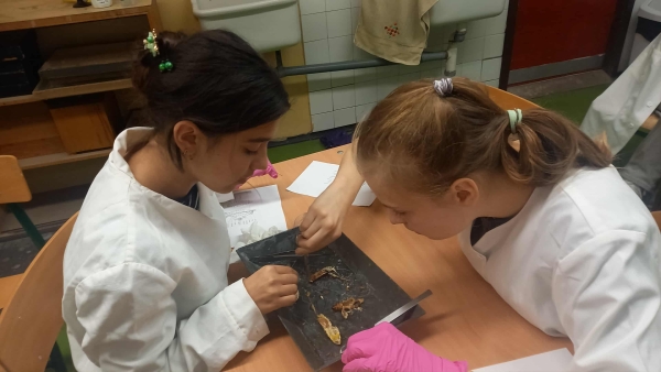 Emelt szintű biológia-kémia tagozat