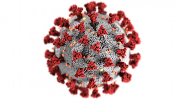 Működési rend koronavírus-járvány esetén