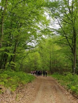 Tanulmányi túra a 9.a humános diákjainak