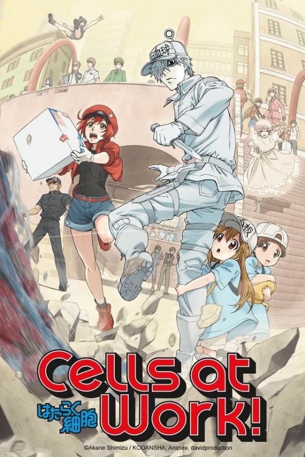 Hataraku Saibou (Cells at Work!)