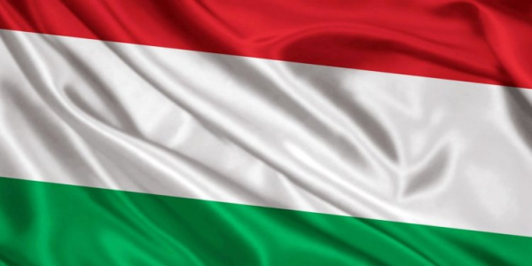 Magyar munkaközösség