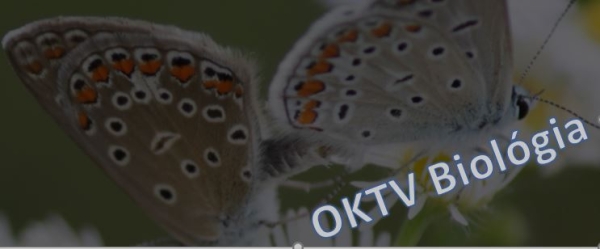 Biológia OKTV döntőseink