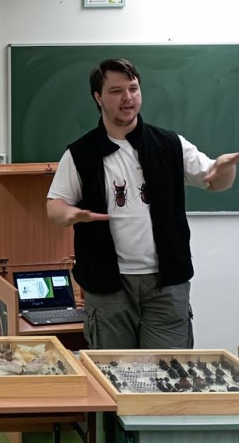 Érdekességek és tévhitek a rovarokról